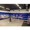 50102 28 boxerske ringy