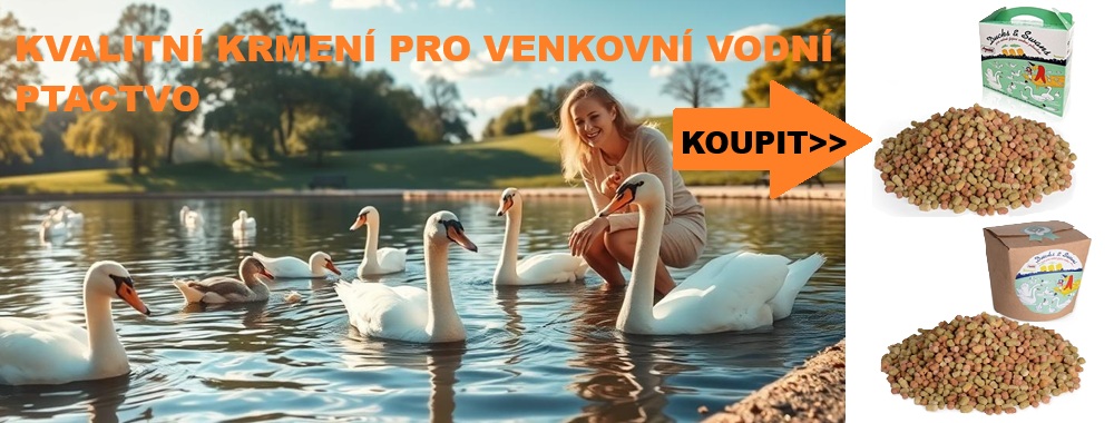 Vodní ptactvo