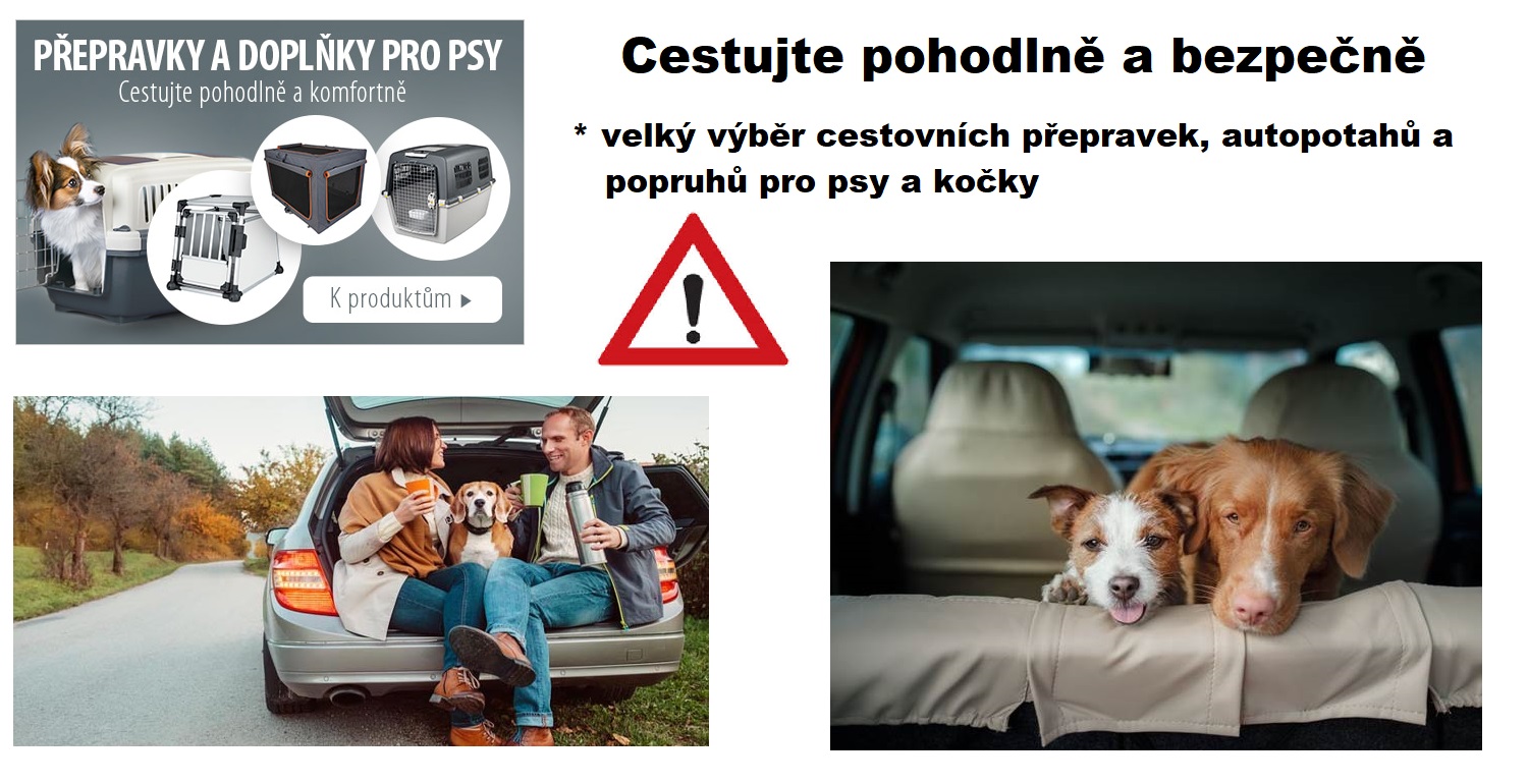 Cestovani se psem