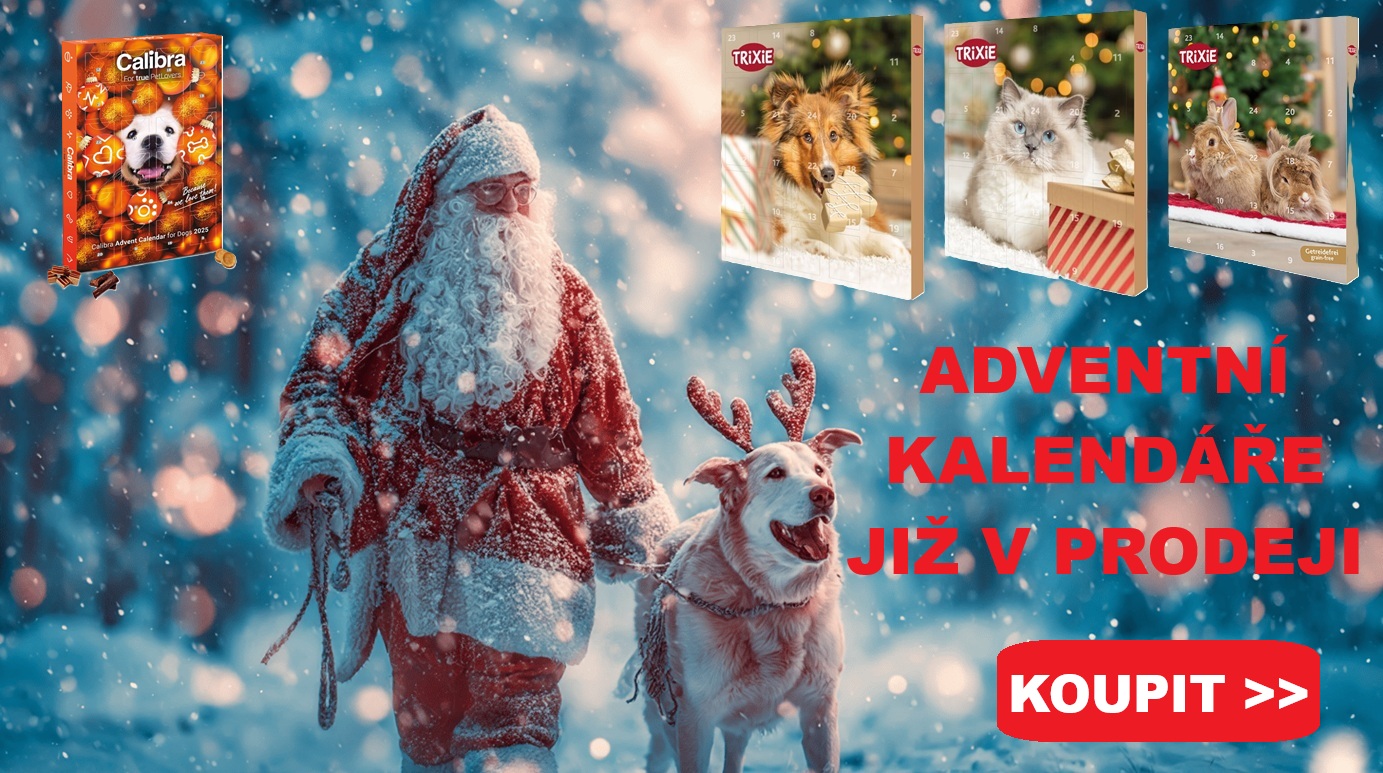Adventní kalendáře již v prodeji