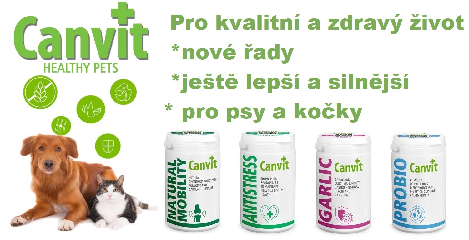 BannerCanvitNove