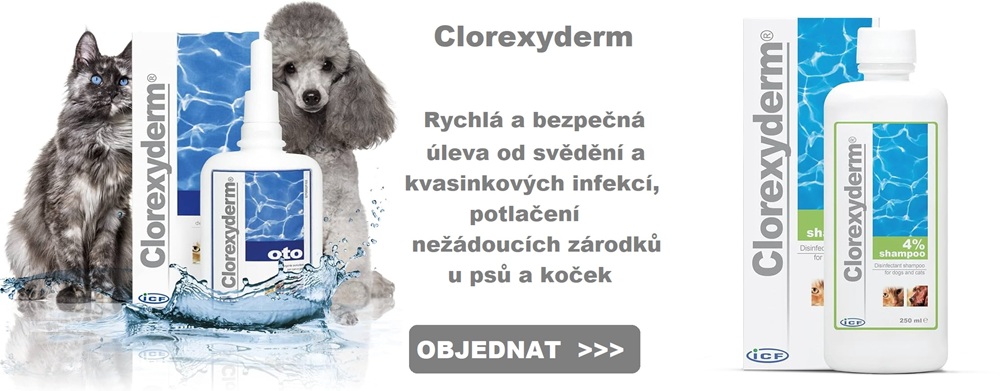 Clorexyderm