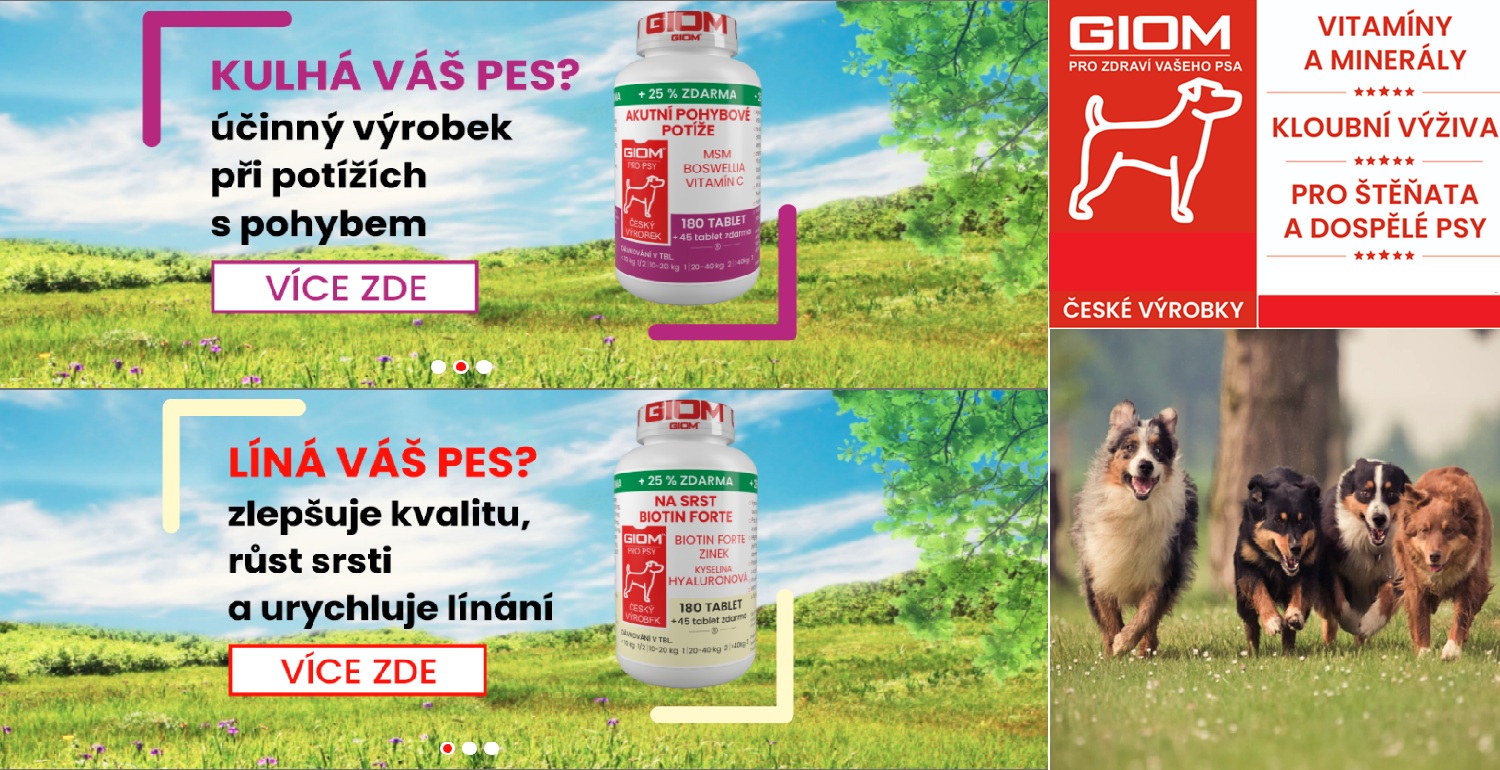 Giom