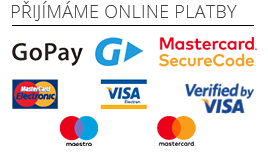Přijímáme online platby