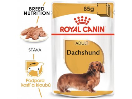 ROYAL CANIN Dachshund Loaf kapsička s paštikou pro jezevčíka 12x85g (bal.)  kapsička s paštikou pro jezevčíka