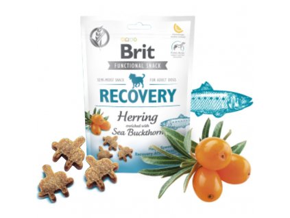 Brit Care Dog Functional Snack Recovery Herring 150g  Lahodné a výživové masové pamlsky pro psy