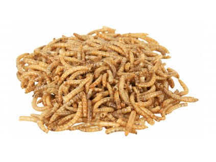 Sušený mouční červi 70 g