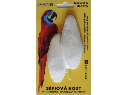 Sépiová kost na kartě 8cm, 2ks