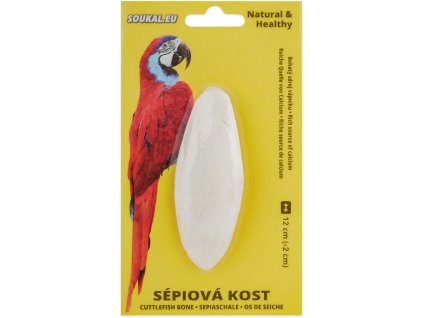 Sépiová kost na kartě 12cm