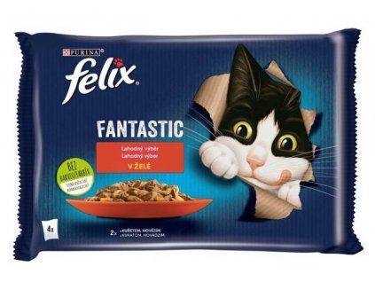 Felix cat kapsičky -Fant.Multipack masový výběr v želé 4 x 85 g