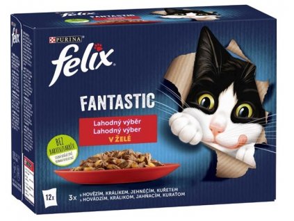 Felix Fantastic masový výběr v želé 12 x 85 g