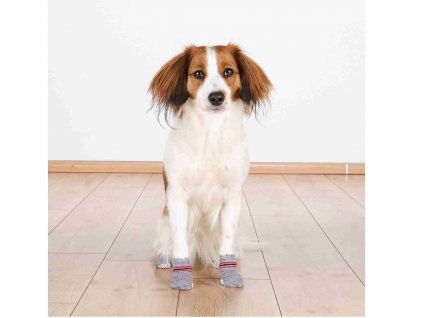 Protiskluzové šedé ponožky, 2 ks pro psy