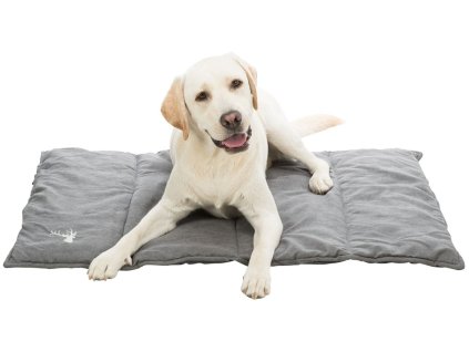 Cestovní deka LENI, šedá