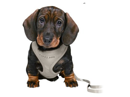 JUNIOR SOFT postroj s vodítkem pro štěňata, S-M: 26-34 cm, 2 m