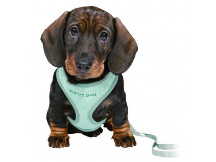 JUNIOR SOFT postroj s vodítkem pro štěňata, M-L: 36-50 cm, 2 m