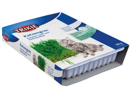 Tráva pro kočku v misce 100g