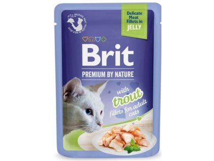 Brit Premium Cat D Fillets in Jelly with Trout 85g