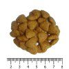 OPTIMAnova Cat Mature Sterilised 2 kg  výprodej