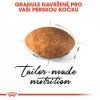 ROYAL CANIN Persian Adult  granule pro perské kočky