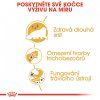 ROYAL CANIN Persian Adult  granule pro perské kočky