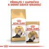 ROYAL CANIN Persian Adult  granule pro perské kočky