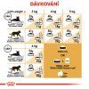 ROYAL CANIN Persian Adult  granule pro perské kočky