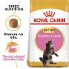 ROYAL CANIN Maine Coon Kitten  Maine Coon Kitten granule pro mainská mývalí koťata