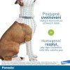 FORESTO obojek pro psy nad 8kg 70cm