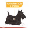 ROYAL CANIN Mini Dermacomfort - granule pro malé psy s problémy s kůží