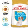 ROYAL CANIN Cavalier King Charles Puppy 1,5 kg  granule pro štěně kavalír king charles španěl