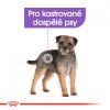 ROYAL CANIN Mini Sterilised  Masové granule pro kastrované malé psy