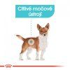 ROYAL CANIN Mini Urinary Care  Masové granule pro psy s problémy močového ústrojí a kameny