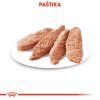 ROYAL CANIN Canin Canine Urinary 12x85g  Kapsičky pro psy s problémy močového ústroji a ledvinové kameny