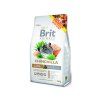 BRIT ANIMALS CHinchila Complete 300g