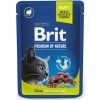 Brit Premium Cat kapsa Lamb for Sterilised 100g