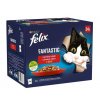 Felix Fantastic masový výběr v želé 24 x 85 g