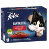 Felix Fantastic masový výběr v želé 12 x 85 g