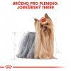 ROYAL CANIN Yorkshire  Kvalitní masové granule pro malé psy a Yorkshirské teriéry