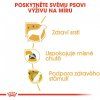 ROYAL CANIN Yorkshire  Kvalitní masové granule pro malé psy a Yorkshirské teriéry