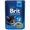Brit Premium Cat kapsa Chicken Chunks for Kitten 100g