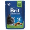 Brit Premium Cat kapsa Chicken Slices for Sterilised 100g