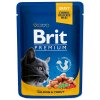 Brit Premium Cat kapsa with Salmon & Trout 100g