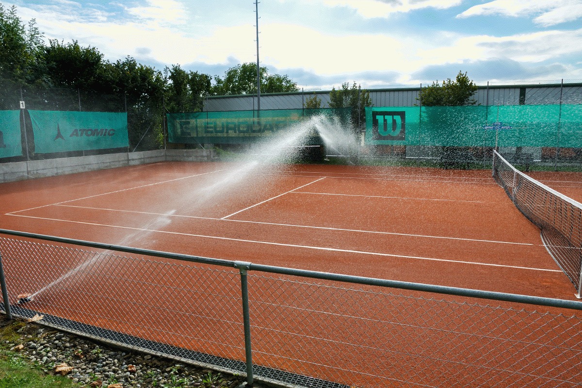 Tenis Perrot