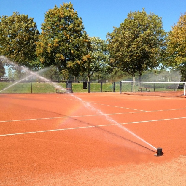 Tenis Perrot