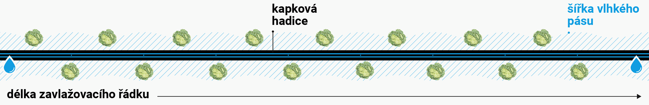 Schema-vlhky-pas