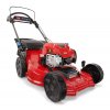 in21 4949s 21693 34r low