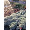 R200 FOTO 2