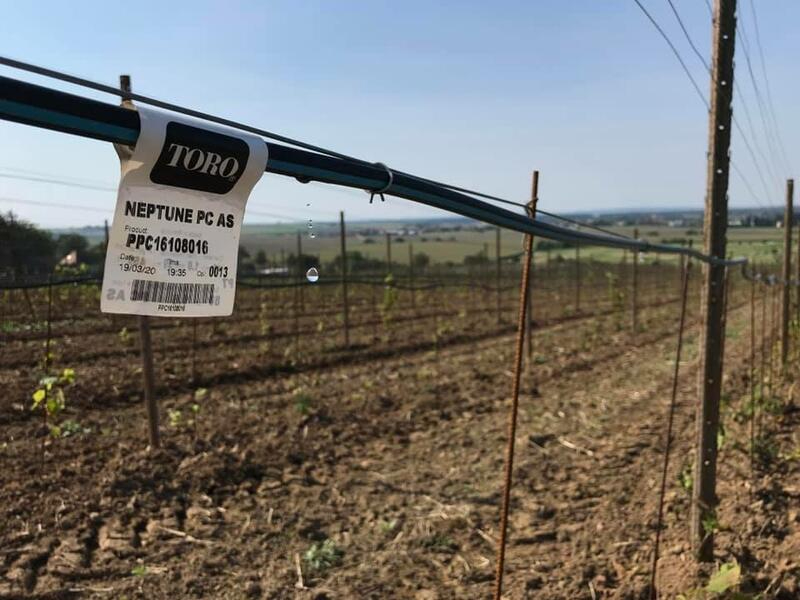 Kvapková závlaha Toro Ag vo Skalici