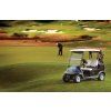 Club Car Precedent i2L