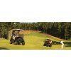 Club Car Precedent i2L